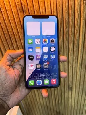 Apple iPhone XS Max 256GB (Used)