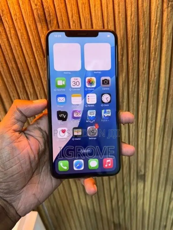 Apple iPhone XS Max 256GB (Used)