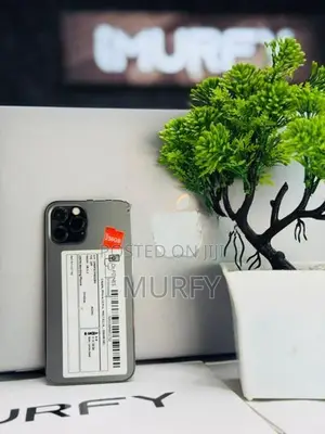 Apple iPhone 12 Pro 256GB (Used)