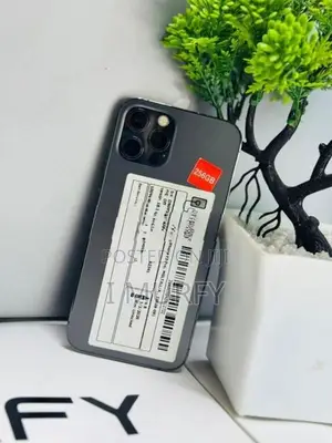 Apple iPhone 12 Pro 256GB (Used)