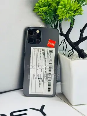 Apple iPhone 12 Pro 256GB (Used)