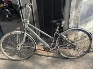 Bridgestone Albelt Bicycle