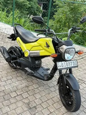 Honda Navi 2020