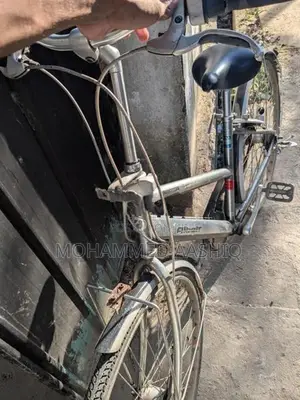 Bridgestone Albelt Bicycle