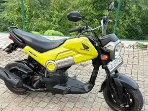 Honda Navi 2020