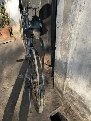 Bridgestone Albelt Bicycle