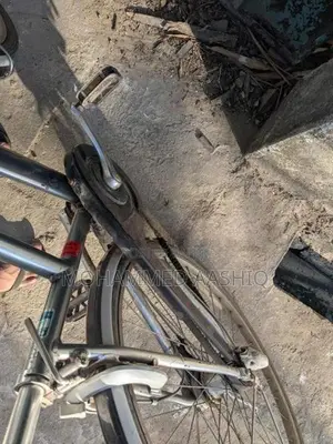 Bridgestone Albelt Bicycle