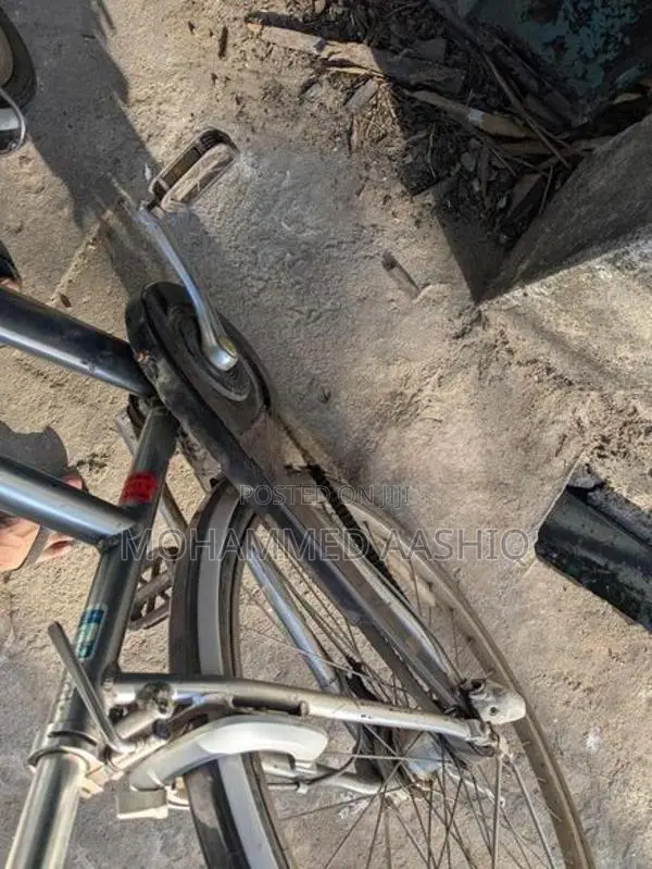 Bridgestone Albelt Bicycle