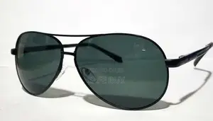 Polarised Sunglasses