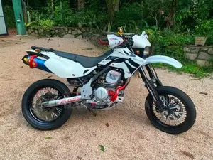 Kawasaki D Tracker X250 2010