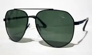 Polarised Sunglasses