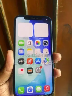 Apple iPhone 12 (Used)