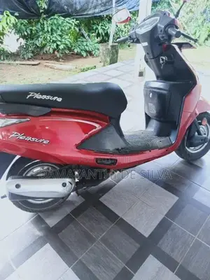 Hero Pleasure 2015