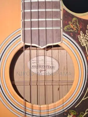 Gibson Semi Acoustic Guitar - J 200