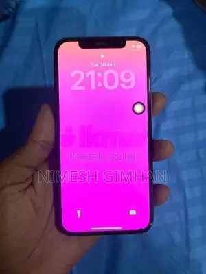 Apple iPhone 12 (Used)