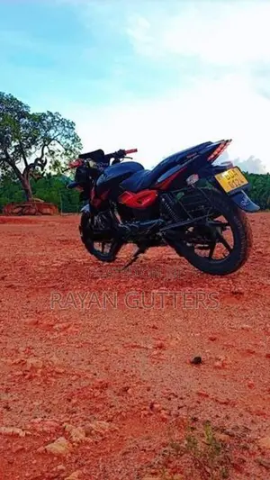 Bajaj Pulsar 150 2015