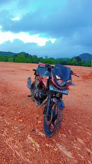 Bajaj Pulsar 150 2015