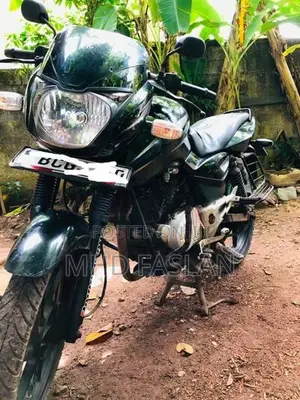 Bajaj Pulsar 150 2015