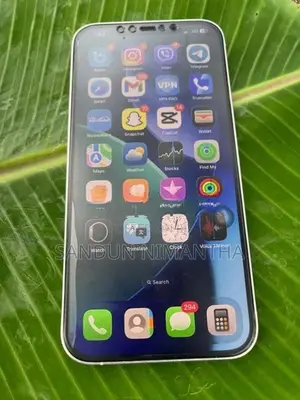 Apple iPhone 12 Pro Max (Used)