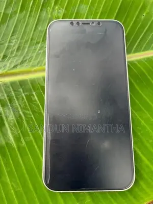Apple iPhone 12 Pro Max (Used)
