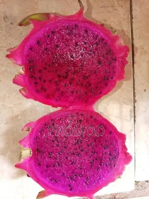 ඩ්‍රගන් පෘථි පැල