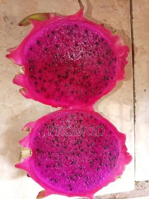 ඩ්‍රගන් පෘථි පැල