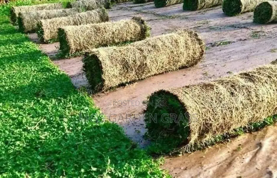 Malaysian Grass & Interlock Paving