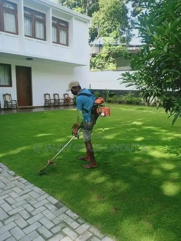 Malaysian Grass with Interlock Paving