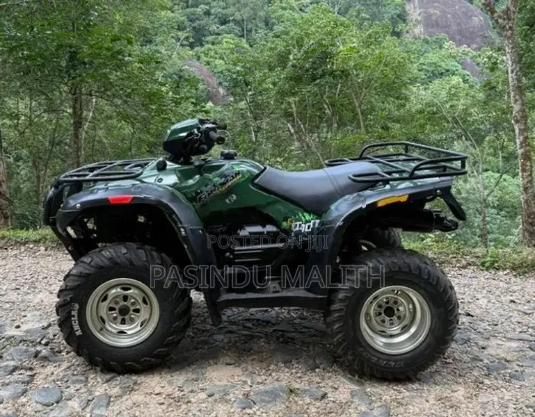 Honda 4x4 ATV Beach Quad 2016