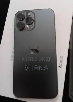 Apple iPhone 13 Pro Max (Used)