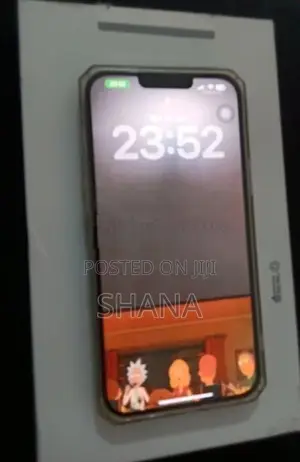 Apple iPhone 13 Pro Max (Used)