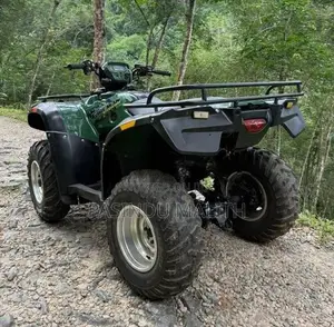 Honda 4x4 ATV Beach Quad 2016