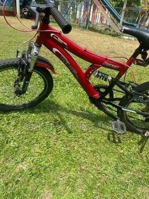 DSI Bicycle