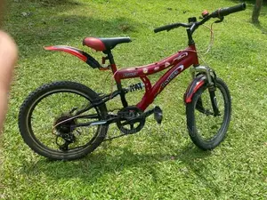 DSI Bicycle