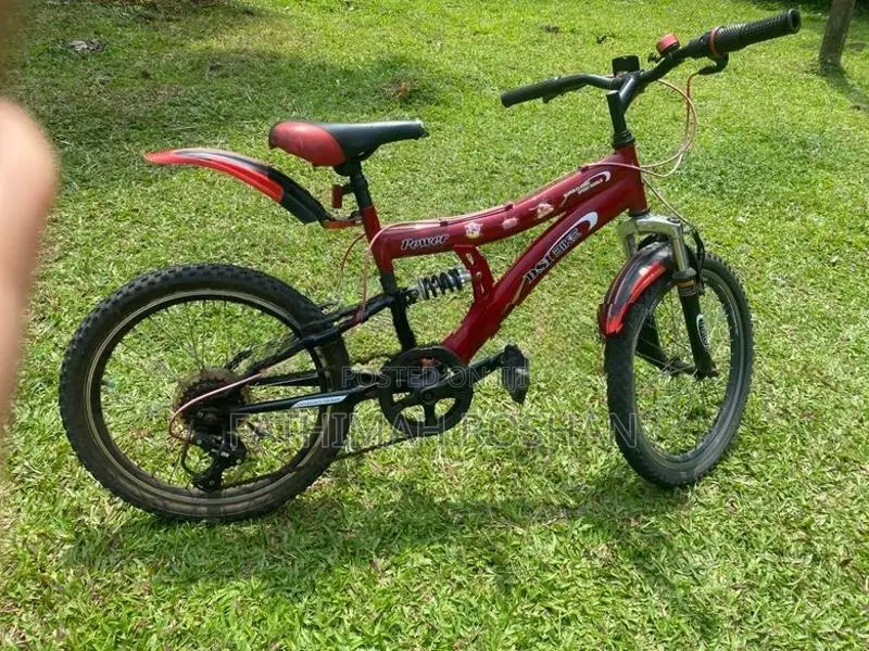 DSI Bicycle