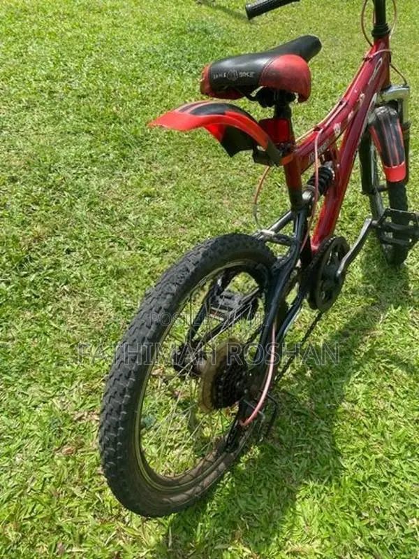 DSI Bicycle