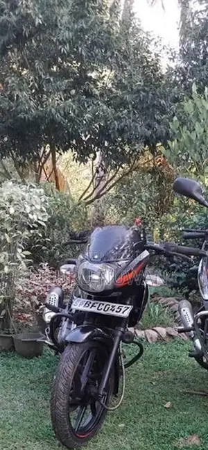 Bajaj Pulsar 150 2017