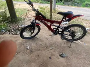 DSI Bicycle