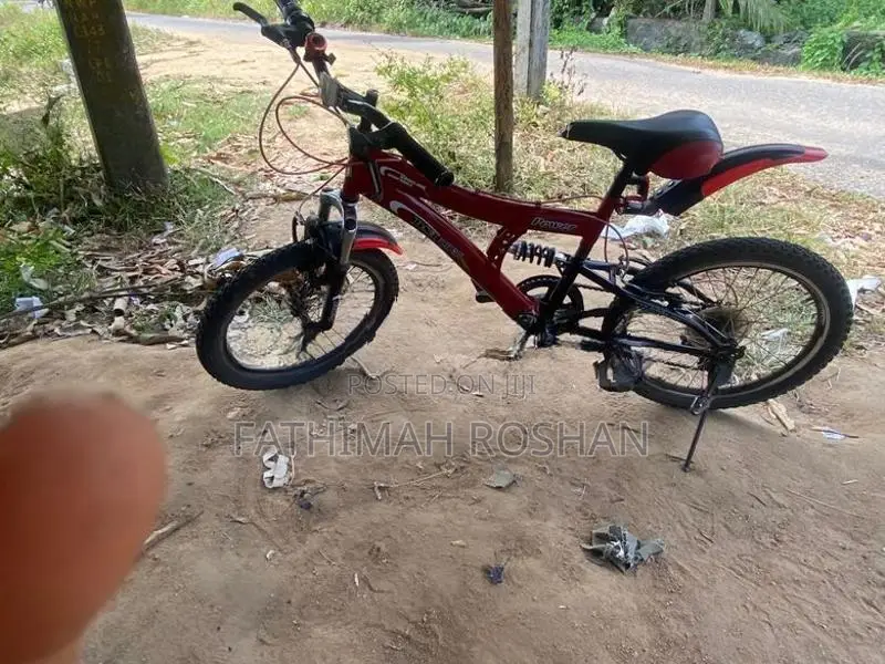 DSI Bicycle