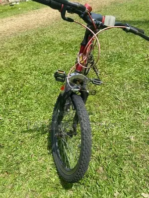 DSI Bicycle
