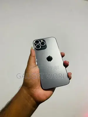 Apple iPhone 13 Pro Max 256GB (Used)