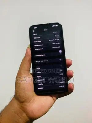 Apple iPhone 13 Pro Max 256GB (Used)