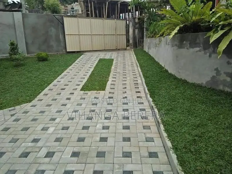 Malaysian Grass