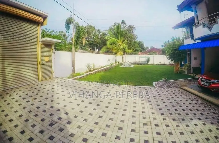 Malaysian Grass