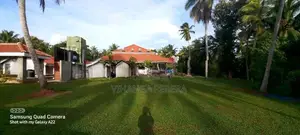 Malaysian Grass