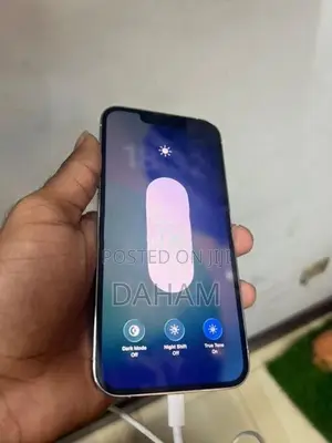 Apple iPhone 13 Pro (Used)