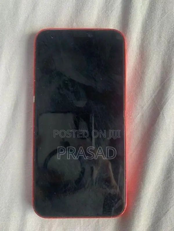 Apple iPhone 12 Mini Display