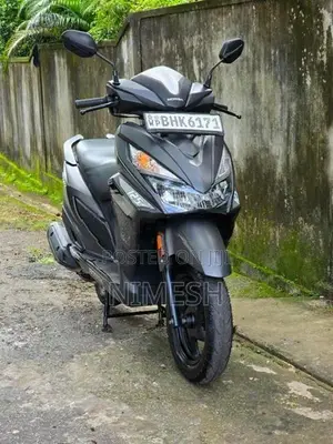 Honda Grazia dx 2019