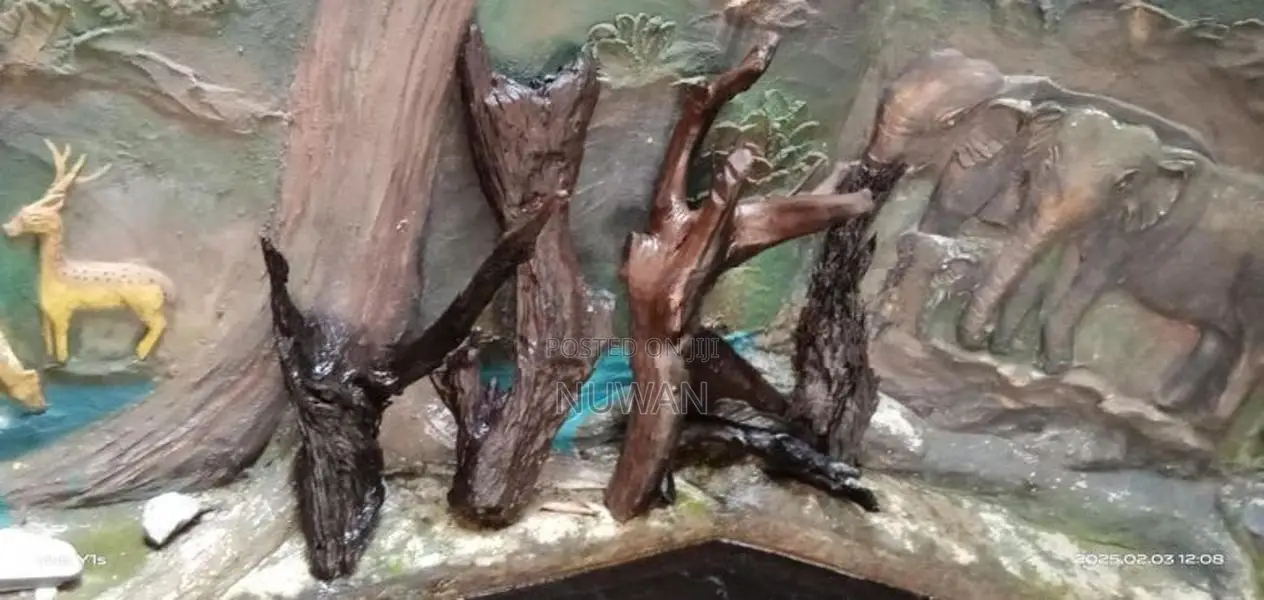 Fish Tank with Accessories