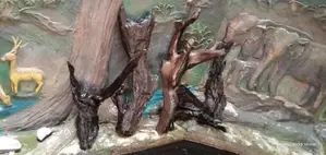 Fish Tank with Accessories